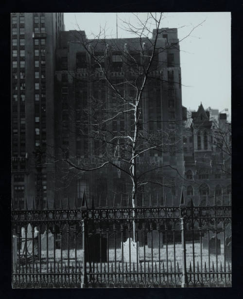 © Estate of Todd Webb.  Image courtesy Emory Libraries Digitization.