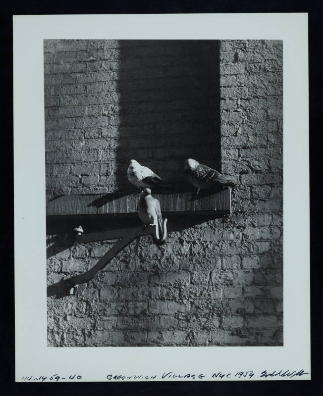 © Estate of Todd Webb.  Image courtesy Emory Libraries Digitization.