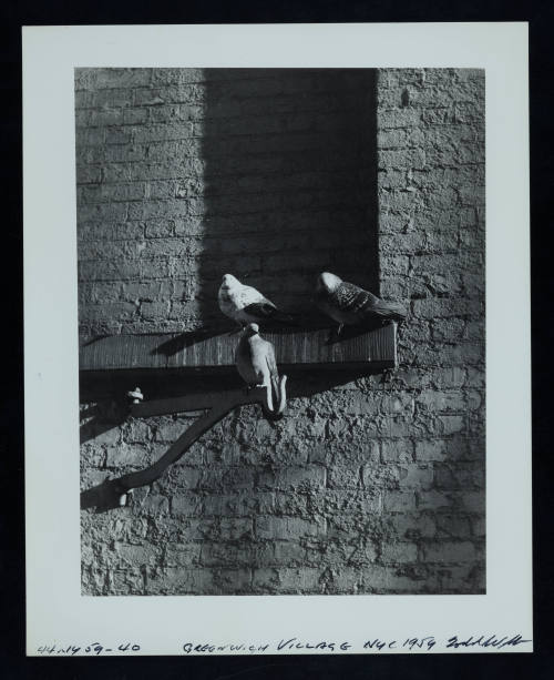 © Estate of Todd Webb.  Image courtesy Emory Libraries Digitization.
