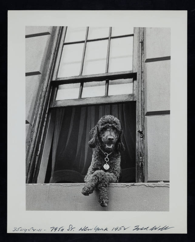 © Estate of Todd Webb.  Image courtesy Emory Libraries Digitization.