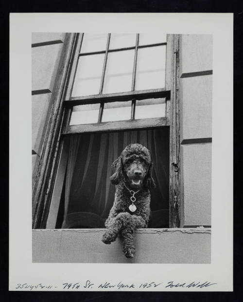 © Estate of Todd Webb.  Image courtesy Emory Libraries Digitization.