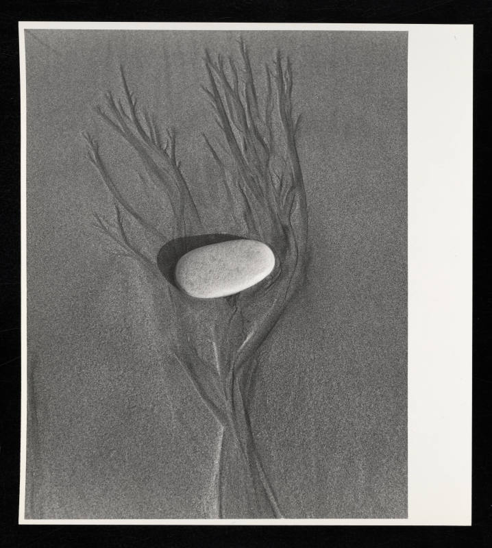 © Estate of Lloyd Ullberg.  Image courtesy Emory Libraries Digitization.
