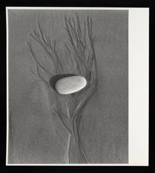 © Estate of Lloyd Ullberg.  Image courtesy Emory Libraries Digitization.
