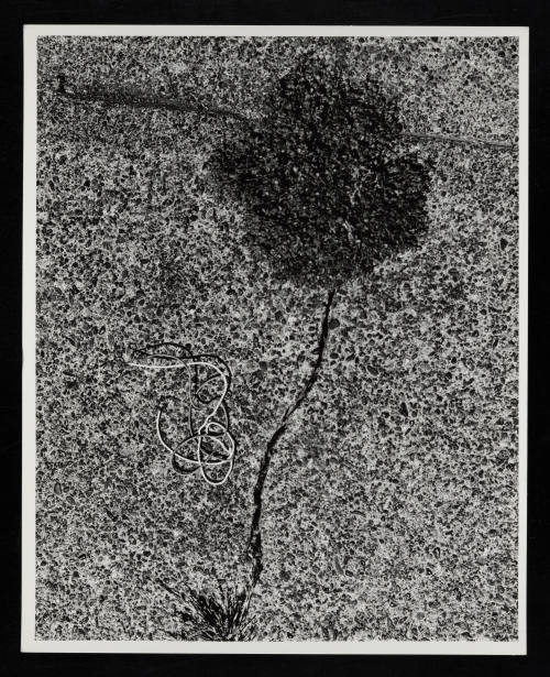 © Estate of Lloyd Ullberg.  Image courtesy Emory Libraries Digitization.