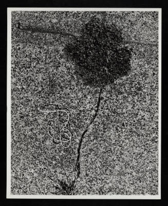 © Estate of Lloyd Ullberg.  Image courtesy Emory Libraries Digitization.