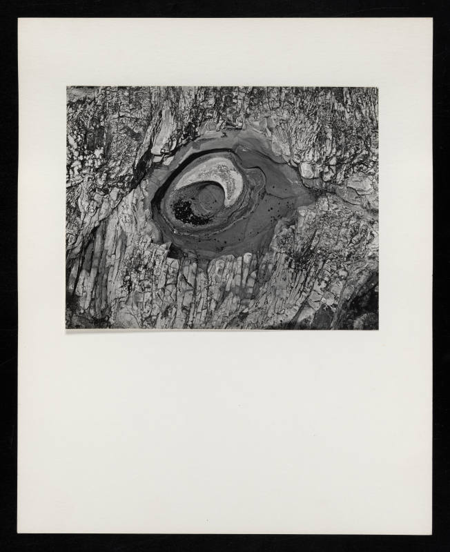 © Estate of Lloyd Ullberg.  Image courtesy Emory Libraries Digitization.