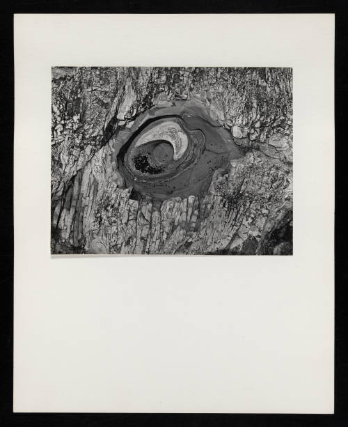 © Estate of Lloyd Ullberg.  Image courtesy Emory Libraries Digitization.