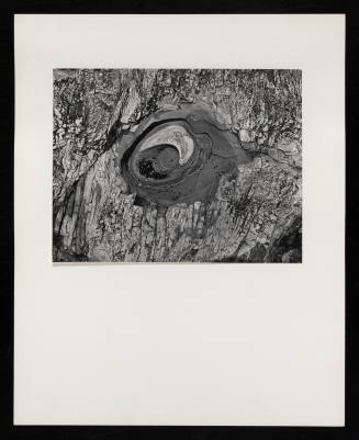 © Estate of Lloyd Ullberg.  Image courtesy Emory Libraries Digitization.