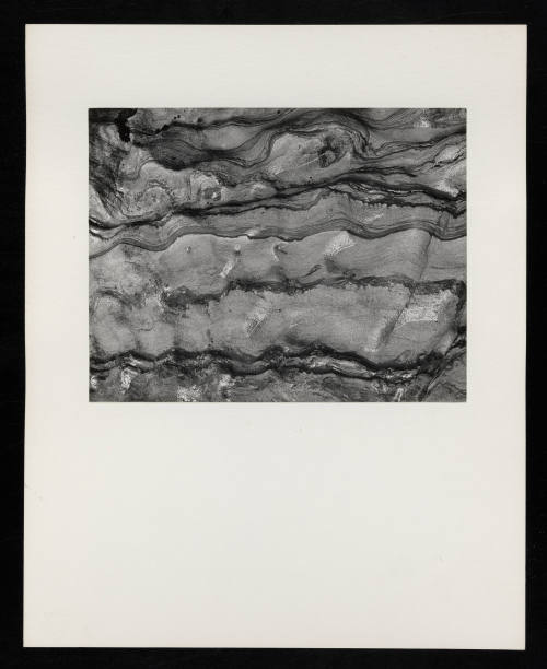 © Estate of Lloyd Ullberg.  Image courtesy Emory Libraries Digitization.