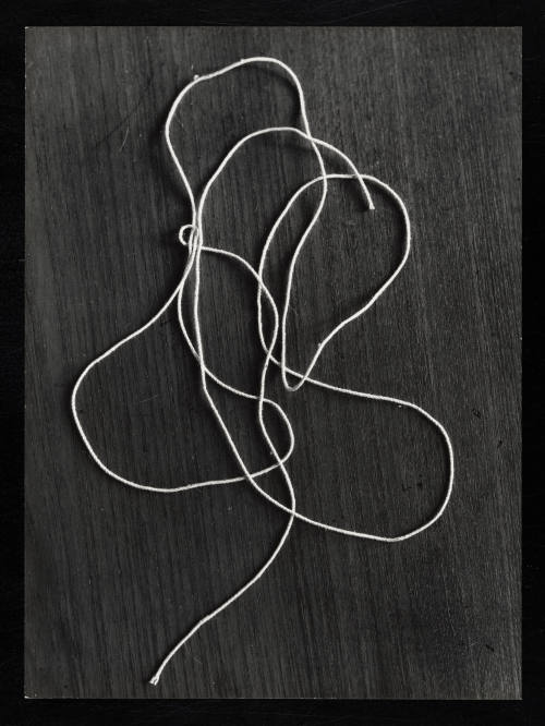 © Estate of Lloyd Ullberg.  Image courtesy Emory Libraries Digitization.