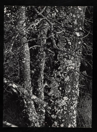 © Estate of Lloyd Ullberg.  Image courtesy Emory Libraries Digitization.