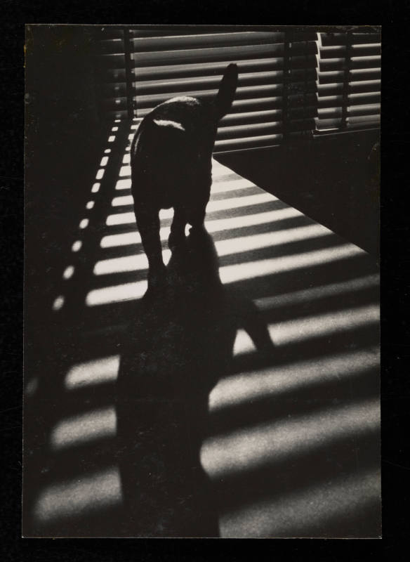 © Estate of Lloyd Ullberg.  Image courtesy Emory Libraries Digitization.