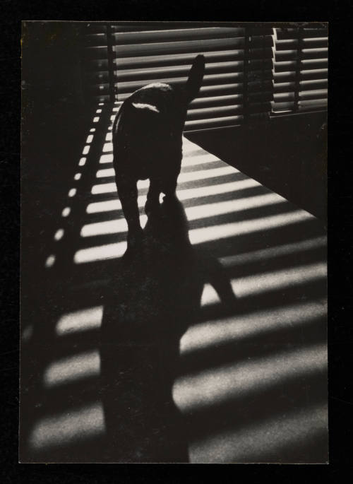 © Estate of Lloyd Ullberg.  Image courtesy Emory Libraries Digitization.