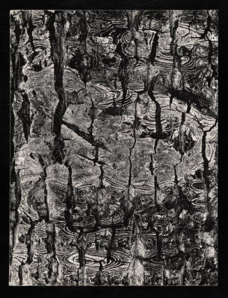 © Estate of Lloyd Ullberg.  Image courtesy Emory Libraries Digitization.