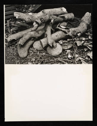 © Estate of Lloyd Ullberg.  Image courtesy Emory Libraries Digitization.