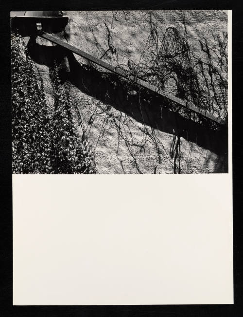 © Estate of Lloyd Ullberg.  Image courtesy Emory Libraries Digitization.