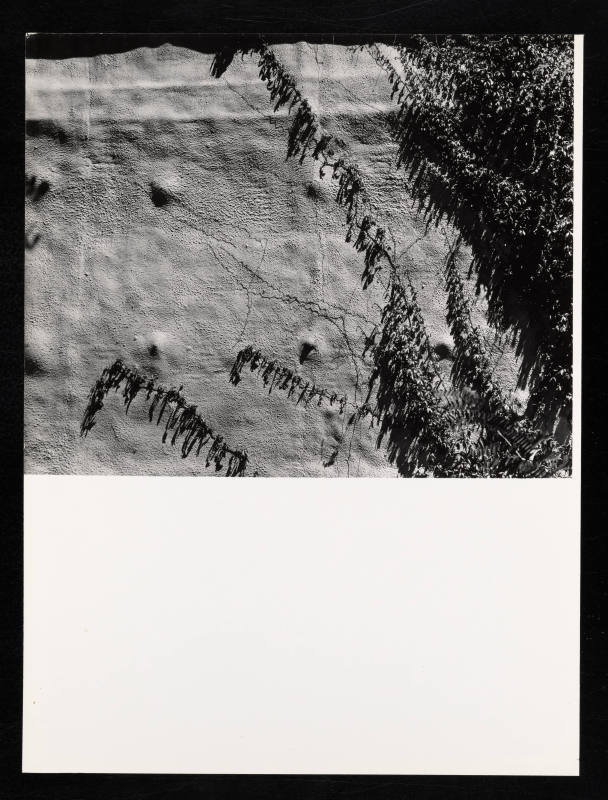 © Estate of Lloyd Ullberg.  Image courtesy Emory Libraries Digitization.