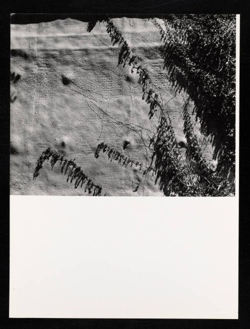 © Estate of Lloyd Ullberg.  Image courtesy Emory Libraries Digitization.