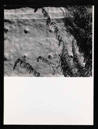 © Estate of Lloyd Ullberg.  Image courtesy Emory Libraries Digitization.