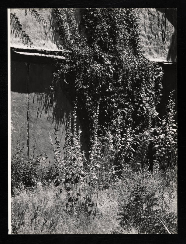 © Estate of Lloyd Ullberg.  Image courtesy Emory Libraries Digitization.