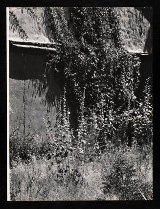 © Estate of Lloyd Ullberg.  Image courtesy Emory Libraries Digitization.