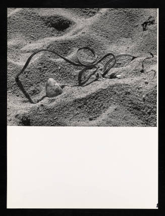 © Estate of Lloyd Ullberg.  Image courtesy Emory Libraries Digitization.