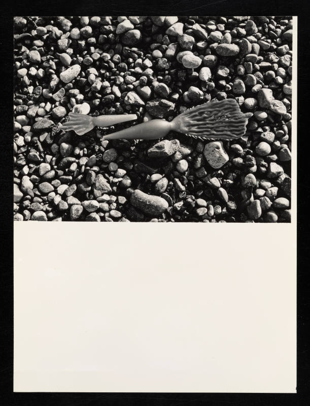 © Estate of Lloyd Ullberg.  Image courtesy Emory Libraries Digitization.