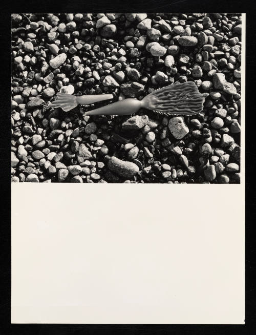 © Estate of Lloyd Ullberg.  Image courtesy Emory Libraries Digitization.