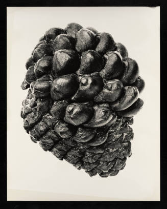 © Estate of Lloyd Ullberg.  Image courtesy Emory Libraries Digitization.