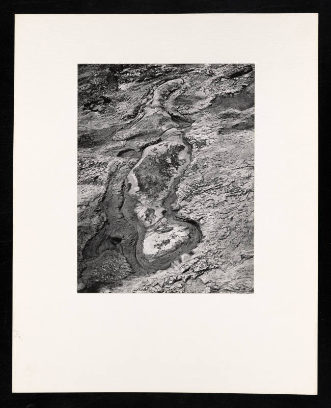 © Estate of Lloyd Ullberg.  Image courtesy Emory Libraries Digitization.