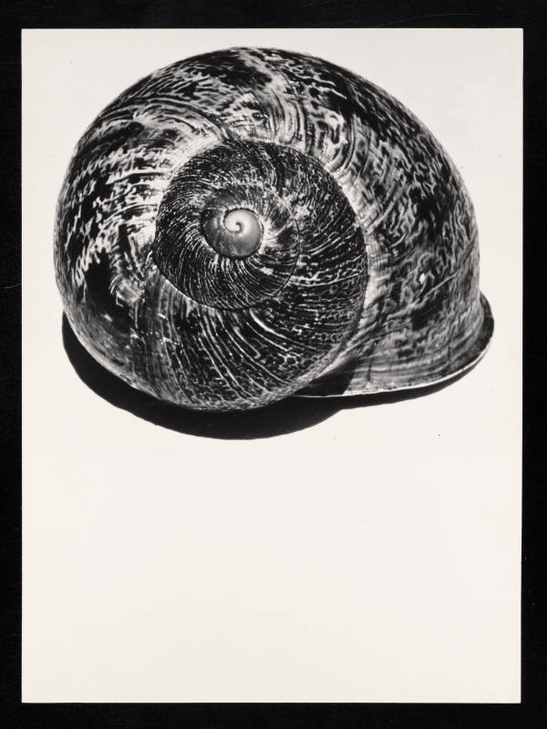 © Estate of Lloyd Ullberg.  Image courtesy Emory Libraries Digitization.