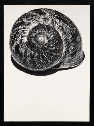 © Estate of Lloyd Ullberg.  Image courtesy Emory Libraries Digitization.