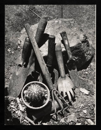 © Estate of Lloyd Ullberg.  Image courtesy Emory Libraries Digitization.