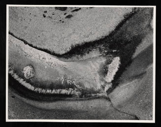 © Estate of Lloyd Ullberg.  Image courtesy Emory Libraries Digitization.