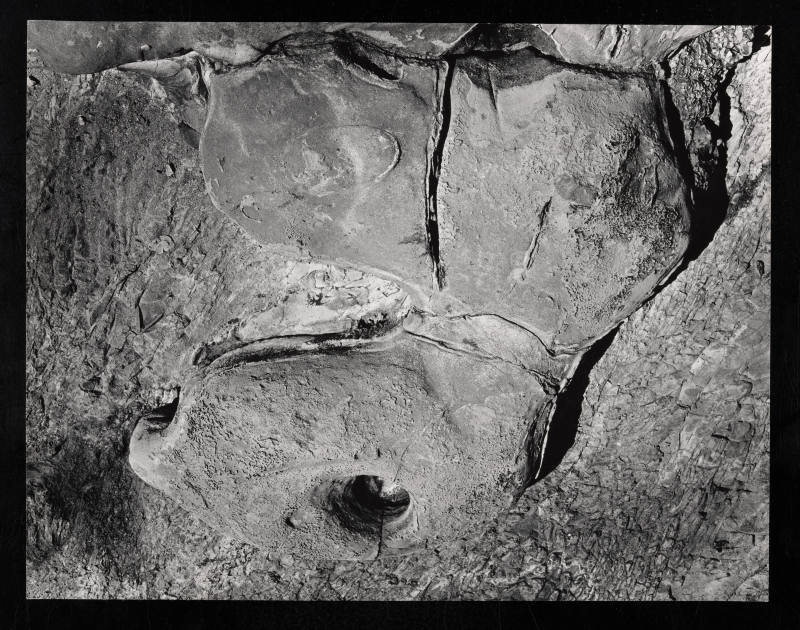 © Estate of Lloyd Ullberg.  Image courtesy Emory Libraries Digitization.