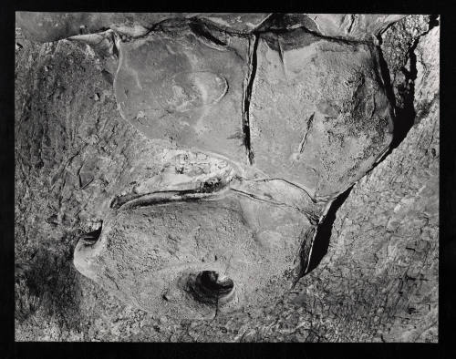 © Estate of Lloyd Ullberg.  Image courtesy Emory Libraries Digitization.