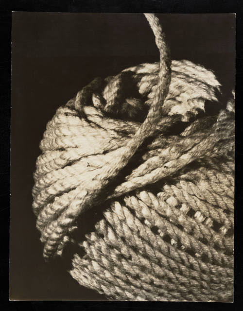 © Estate of Lloyd Ullberg.  Image courtesy Emory Libraries Digitization.