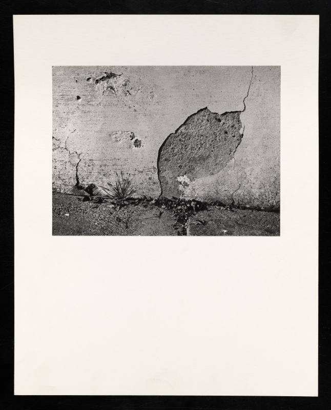 © Estate of Lloyd Ullberg.  Image courtesy Emory Libraries Digitization.