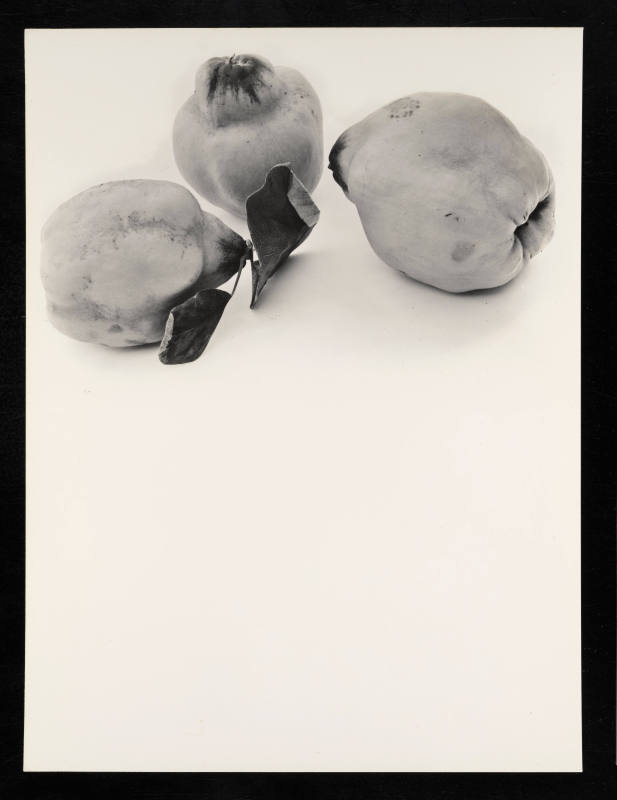 © Estate of Lloyd Ullberg.  Image courtesy Emory Libraries Digitization.