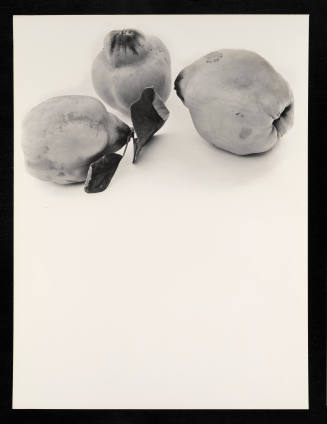 © Estate of Lloyd Ullberg.  Image courtesy Emory Libraries Digitization.