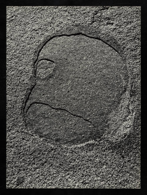 © Estate of Lloyd Ullberg.  Image courtesy Emory Libraries Digitization.