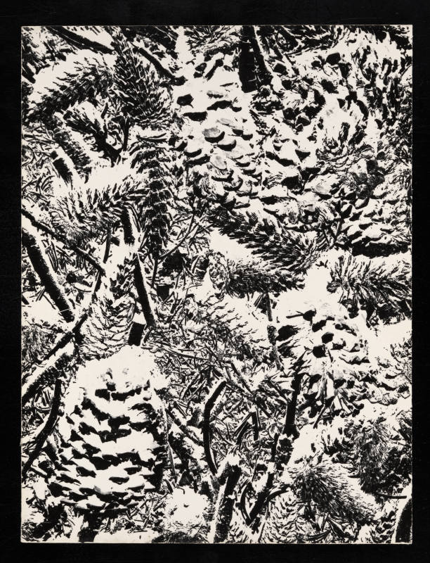 © Estate of Lloyd Ullberg.  Image courtesy Emory Libraries Digitization.