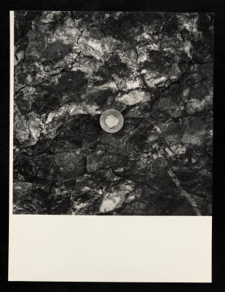 © Estate of Lloyd Ullberg.  Image courtesy Emory Libraries Digitization.