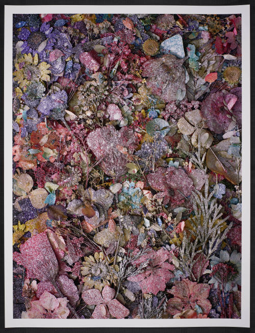 © Abelardo Morell.  Image courtesy Emory Libraries Digitization.