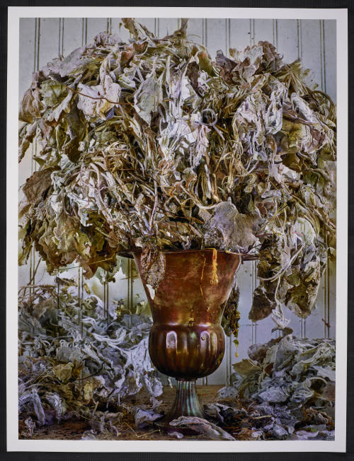 © Abelardo Morell.  Image courtesy Emory Libraries Digitization.