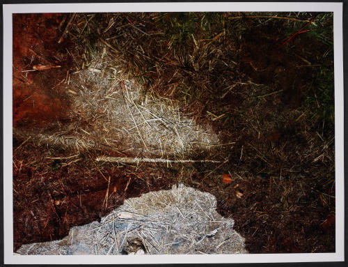 © Abelardo Morell.  Image courtesy Emory Libraries Digitization.