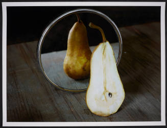 © Abelardo Morell.  Image courtesy Emory Libraries Digitization.