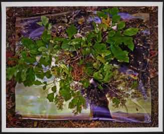 © Abelardo Morell.  Image courtesy Emory Libraries Digitization.