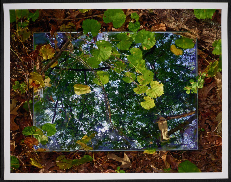 © Abelardo Morell.  Image courtesy Emory Libraries Digitization.