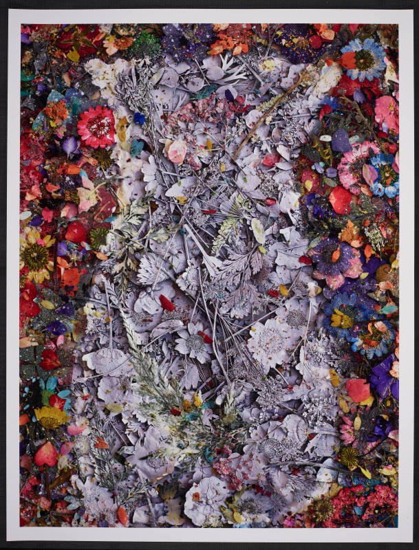 © Abelardo Morell.  Image courtesy Emory Libraries Digitization.